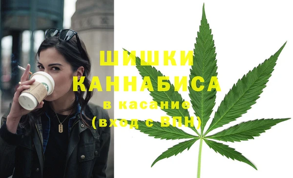 ПСИЛОЦИБИНОВЫЕ ГРИБЫ Аркадак