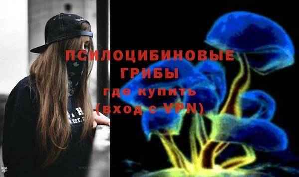 шишки Армянск