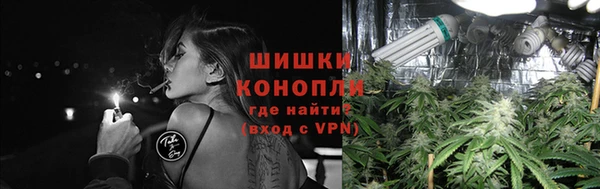 ПСИЛОЦИБИНОВЫЕ ГРИБЫ Аркадак