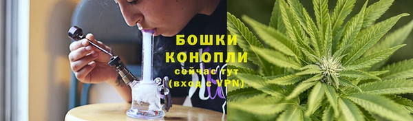 ПСИЛОЦИБИНОВЫЕ ГРИБЫ Аркадак