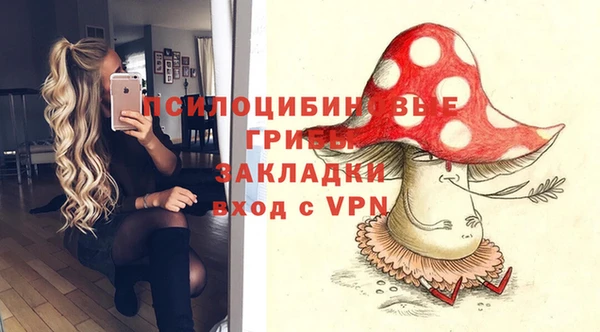 ПСИЛОЦИБИНОВЫЕ ГРИБЫ Аркадак