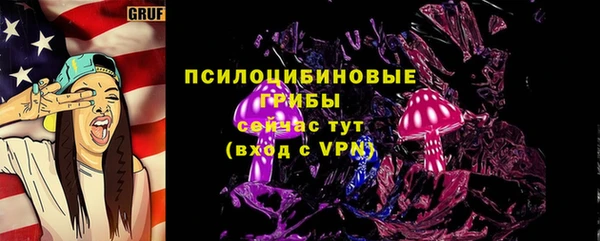 шишки Армянск