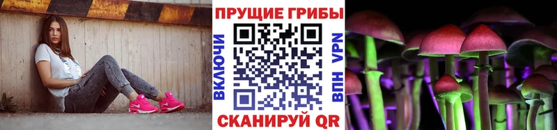 Галлюциногенные грибы Psilocybine cubensis Купить закладки Северобайкальск